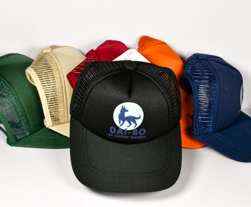 Pup Lid