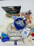 Doggy Fun Box