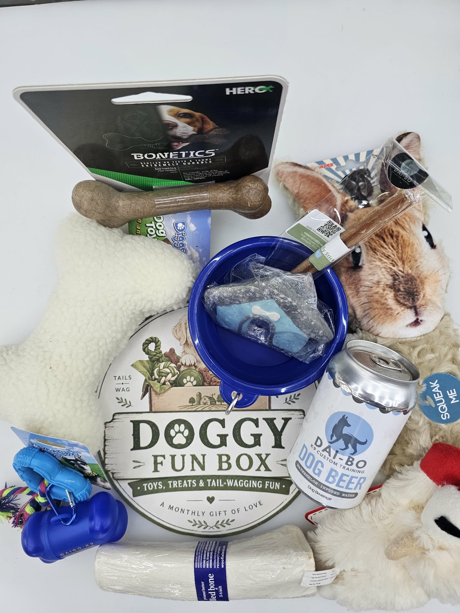 Doggy Fun Box